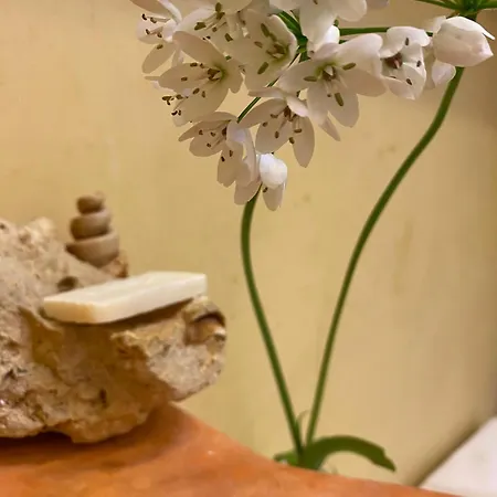 Incasa Appartamento Verona